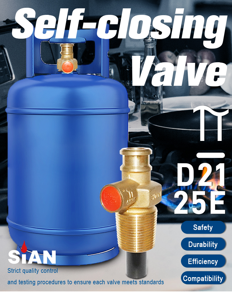 SIAN LPG D21 25E Van tự đ&oacute;ng (1)