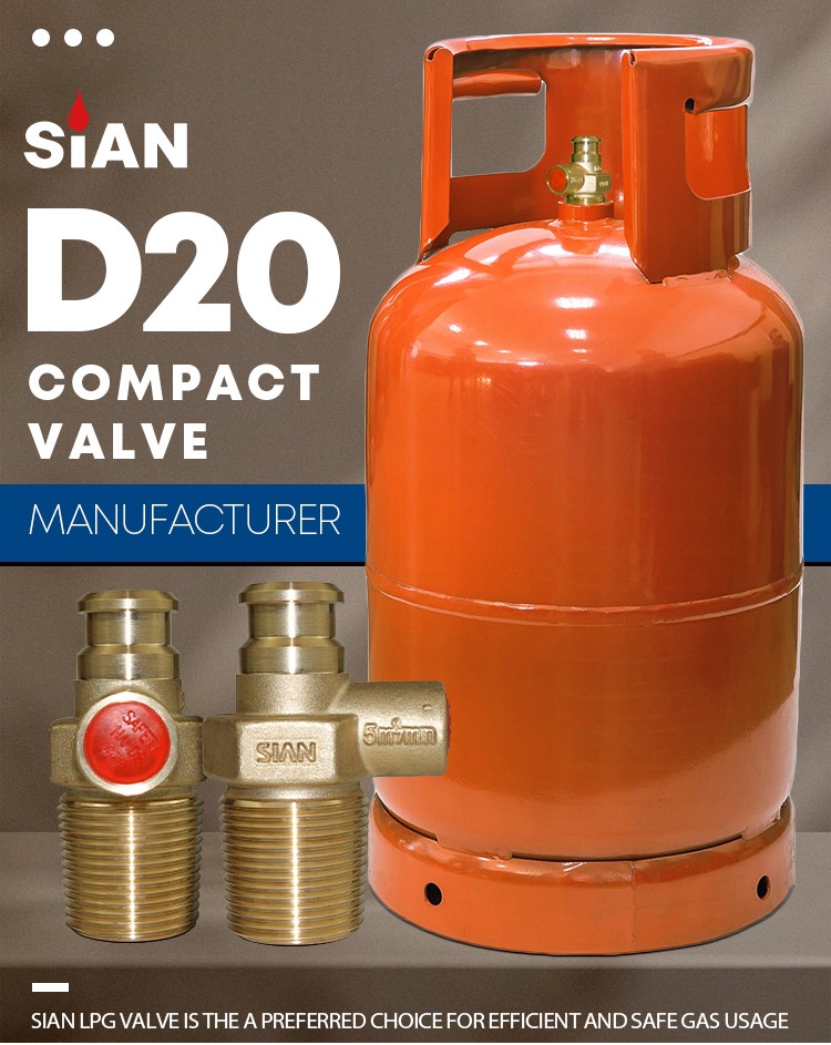 Van compact xi lanh Sian LPG D20 (1)