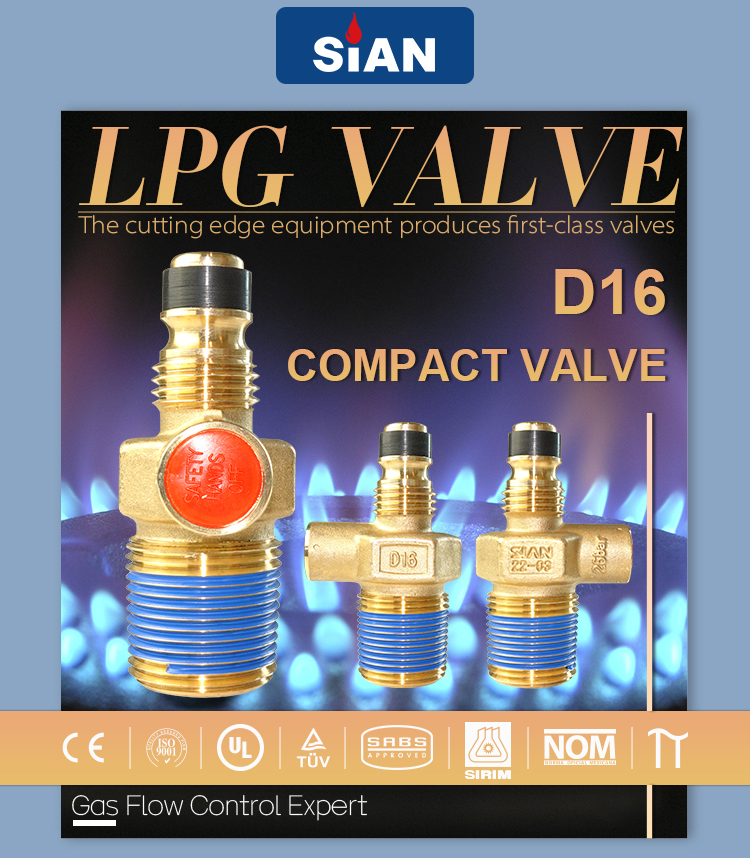 Van compact xi lanh D16 LPG (8)
