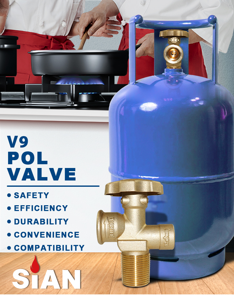 Van xi lanh Sian V9S4 LPG (1)