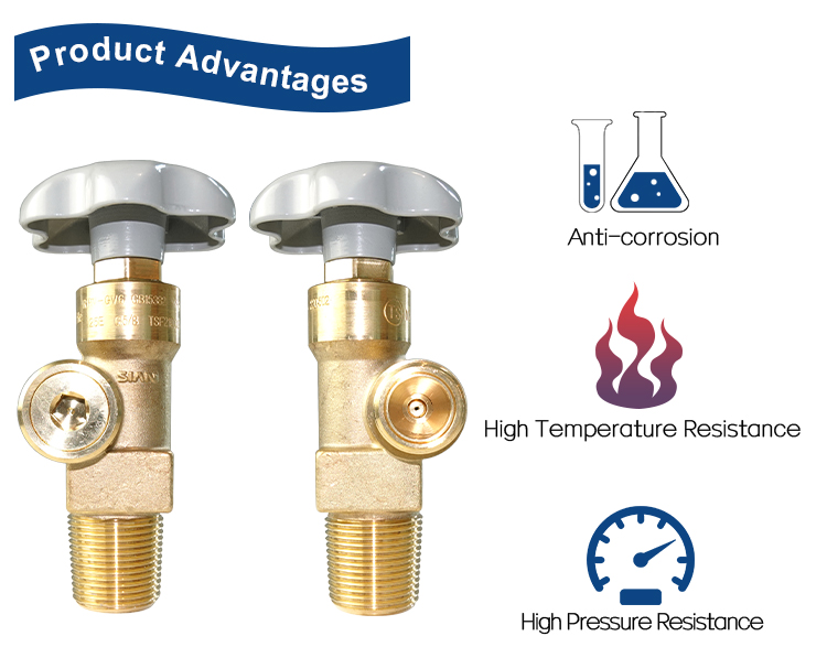 PRV-GV6 N2 AR HE GAS CYLINDER VAN (10)