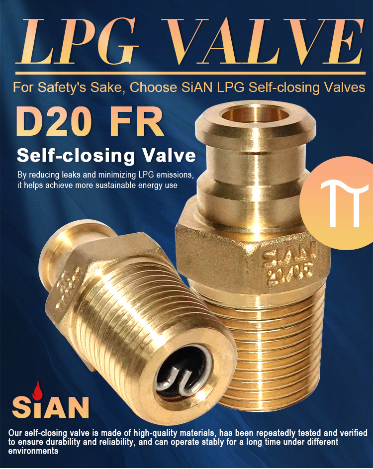 D20 LPG tự đ&oacute;ng van (1)