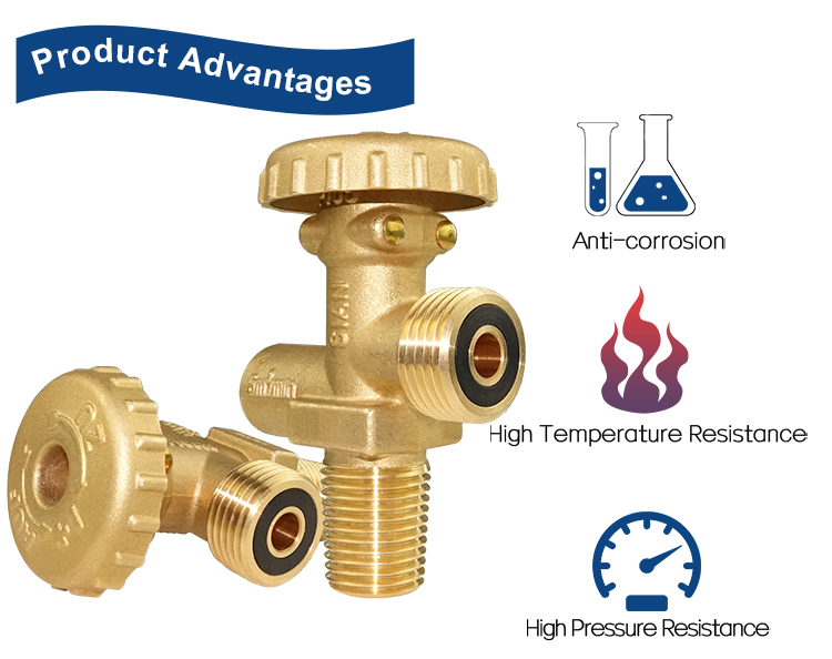 Van xi lanh gas LPG Ph&aacute;p (17)