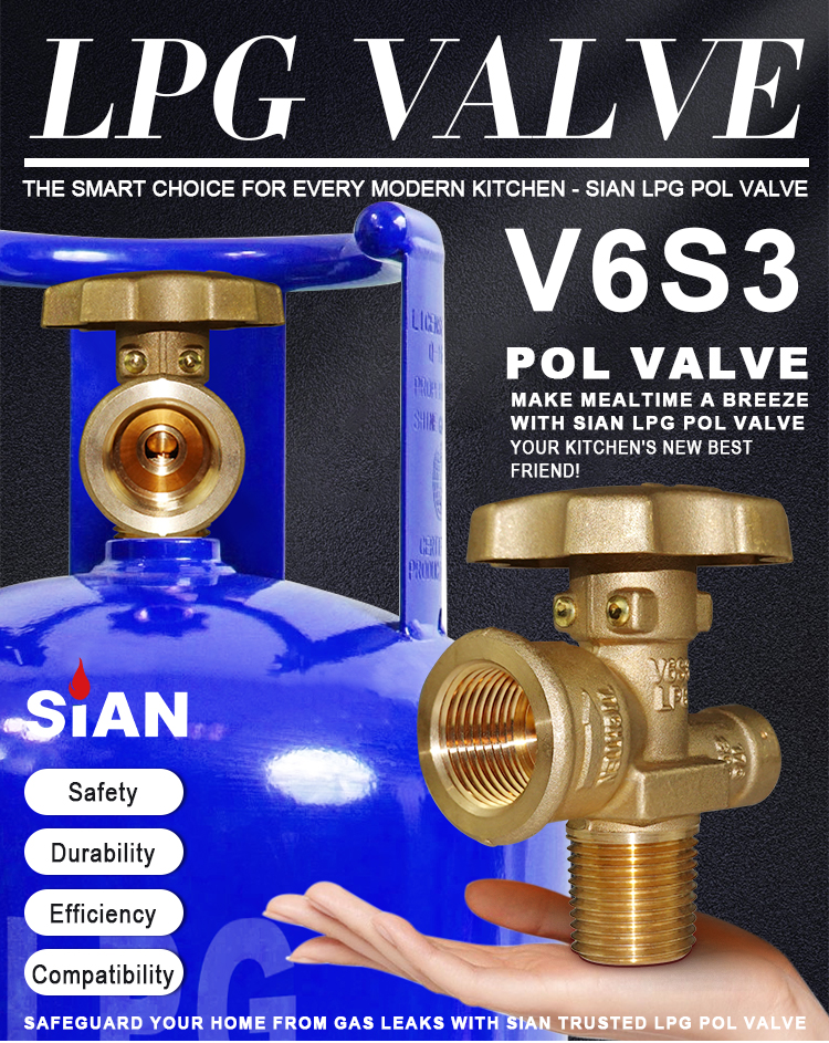 SIAN V6S3 LPG xi lanh Polve (1)