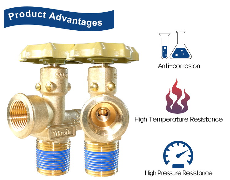 Van xi lanh kh&iacute; V6S2 LPG (2)