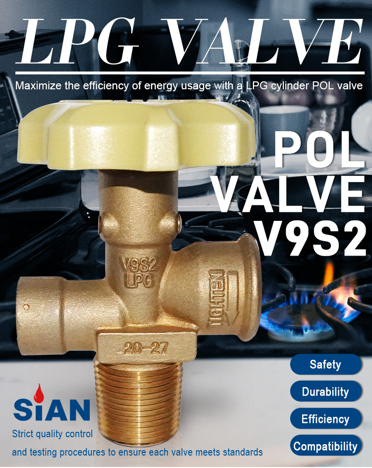 V9S3 LPG xi lanh Polves Polves (1)
