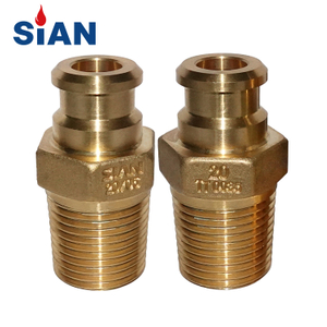 SIAN SELF Đóng 20 mm lpg xi lanh compact d20 