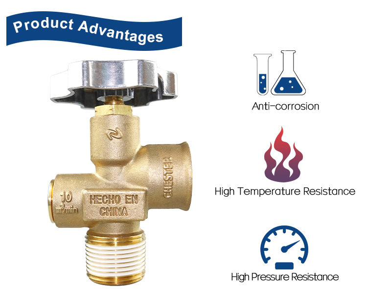 Van polve van xi lanh MX100 LPG cho Mexico (11)