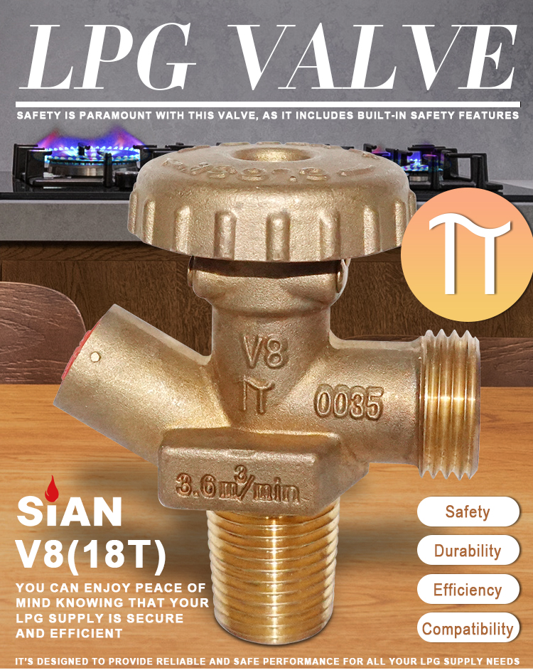 Van xi lanh Sian V8 LPG (1)