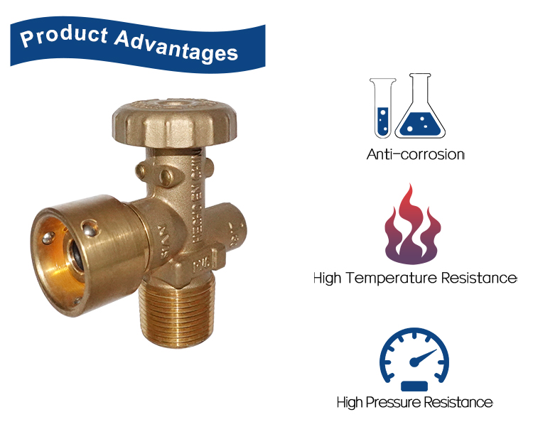 LPG Venezuela Ti&ecirc;u chuẩn Van đầu bơm hơi PV6 (8)