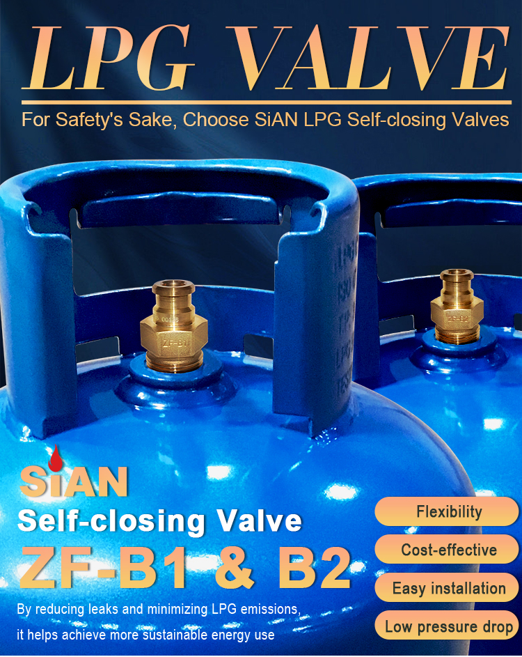 Van tự đ&oacute;ng LPG (6)