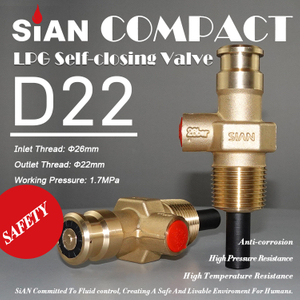 Nhà sản xuất van nhỏ gọn Sian Compact D22 Van xi lanh LPG tự đóng