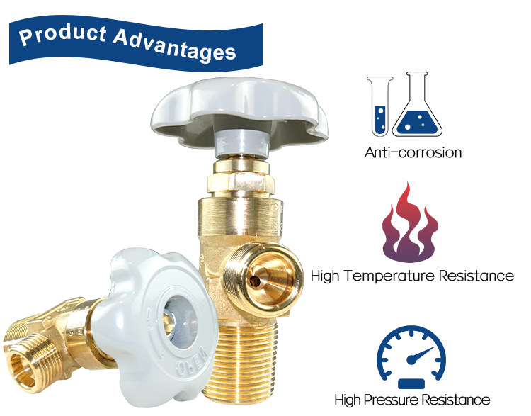 Van xi lanh PX-32A argon (11)