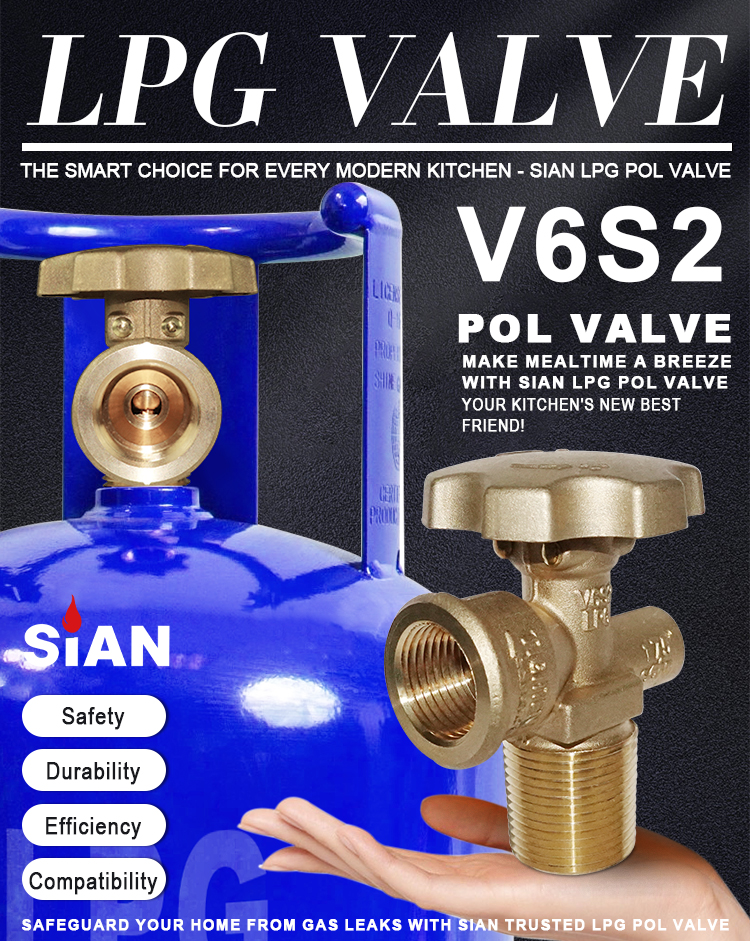 SIAN V6S2 LPG POLVE cho Philliphines (1)